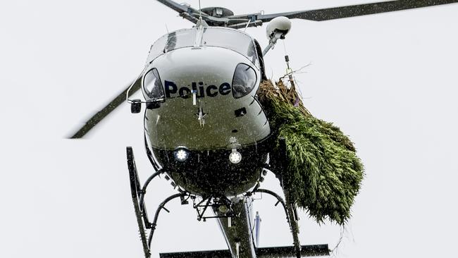 ### ON HOLD - SEE GCB FOR EMBARGO RESTRICTIONS ###Multiple police units attending and participating in  the Cannabis Eradication Program in Northern in NSW.  Polair 3 crew member Chris Tegart with  a crop of Canabis, picked up near the border with Byron Bay and Lennon Heads. Picture: Jerad Williams