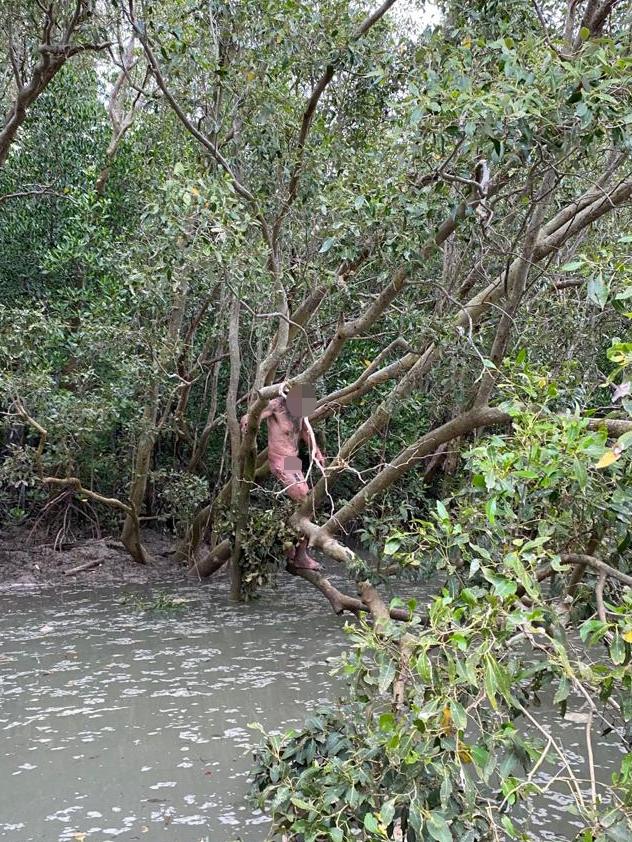 A naked man allegedly on the run from police was found up a tree by two fishos. Picture: Cam Faust