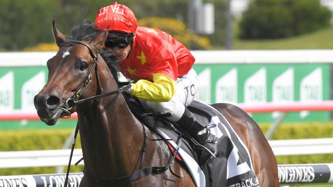 Cosmic Force can bounce back to winning form in the Arrowfield Sprint. Picture: AAP