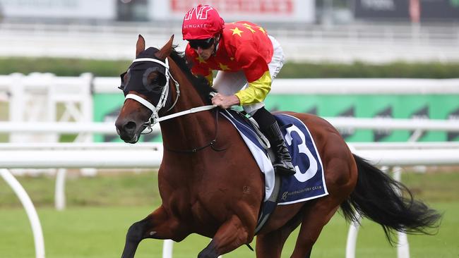 Militarize is the favourite for next Saturday’s Randwick Guineas. Picture: Jeremy Ng-Getty Images