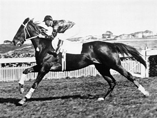 Phar Lap’s broken heart mystery solved | Geelong Advertiser