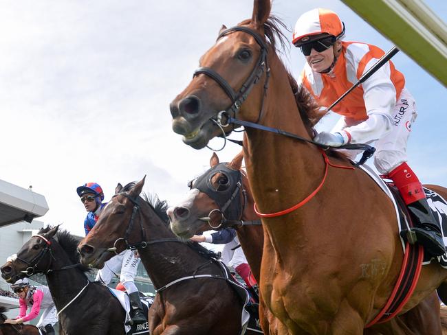 Vow And Declare ridden by Craig Williams wins the Lexus Melbourne Cup ,at Flemington Racecourse on November 05, 2019 in Flemington, Australia. (Reg Ryan/Racing Photos via Getty Images)