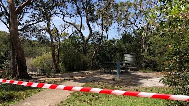 The picnic area at Manly Dam after being cleaned up by Northern Beaches Council staff. Picture: Jim O'Rourke