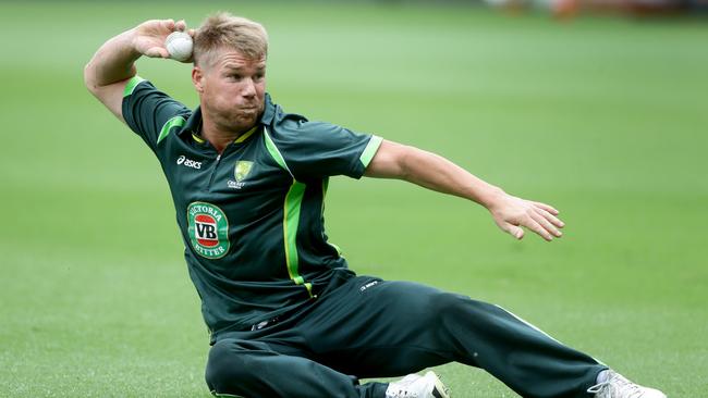 David Warner is focused on the task at hand. Picture: Darren England.