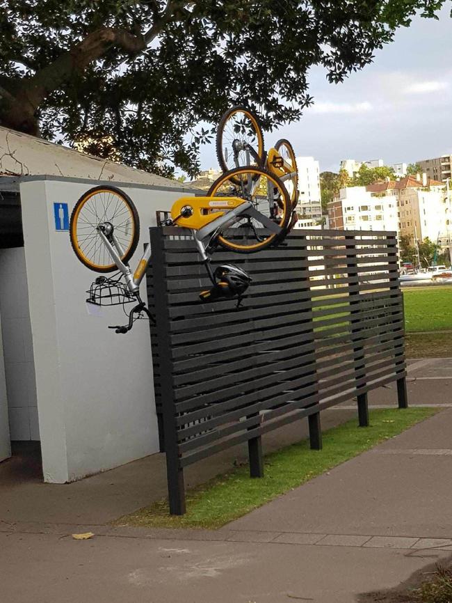 A bike was left in a peculiar position at Rushcutters Bay recently. Picture: Lois Brown.
