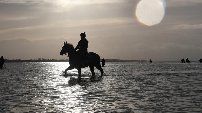 Zaaki enjoying the water at Altona Beach last week. Picture: Getty Images