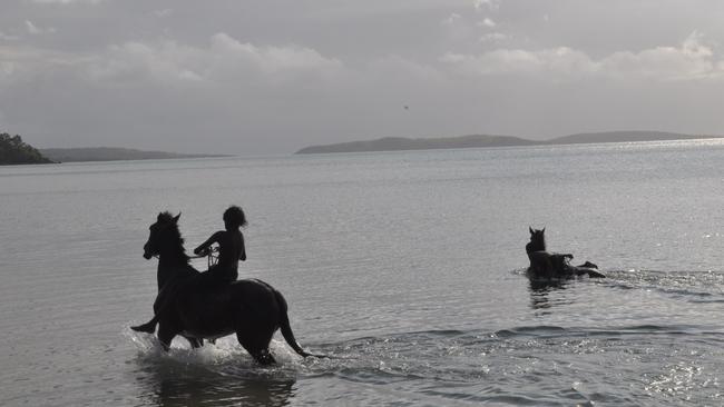 Palm Island children play with their horses at the beach. PIC: John Andersen