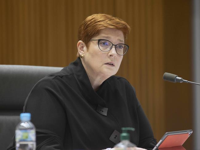 Foreign Minister Marise Payne. Picture: NCA NewsWire / Gary Ramage