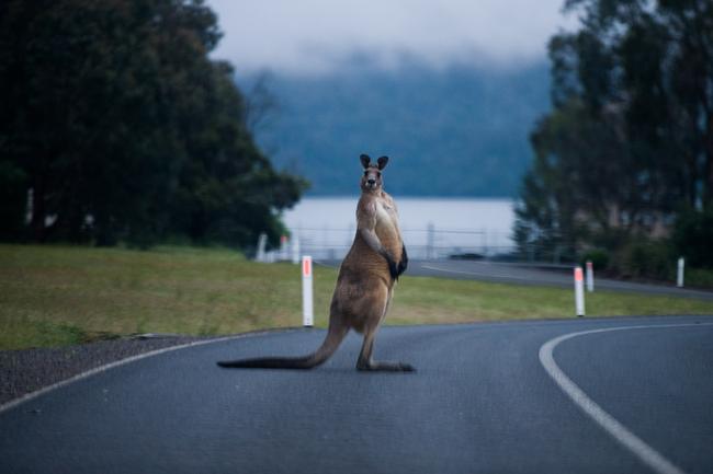 Lake Eildon, in Victoria, Australia, on Monday. Picture: Nathan Laine/Bloomberg