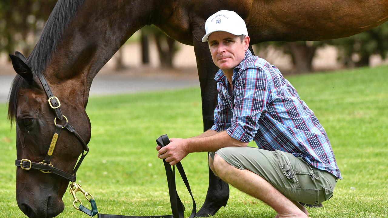 Luke Nolen to ride Rothfire in Group 1 Champions Sprint | news.com.au ...