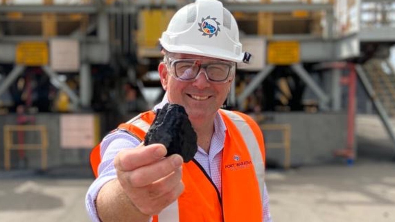 Resources Minister Keith Pitt is worried poor quality coal from Russia could fill the Asian market if Australia reduced exports.