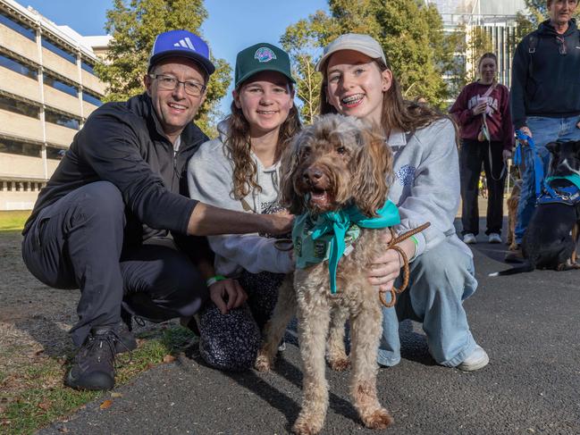 RSPCA SA's Million Paws Walk in Adelaide on May 25, 2025. Picture: Ben Clark