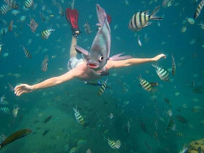 Beware of the dreaded Fish Man. Picture: Supplied