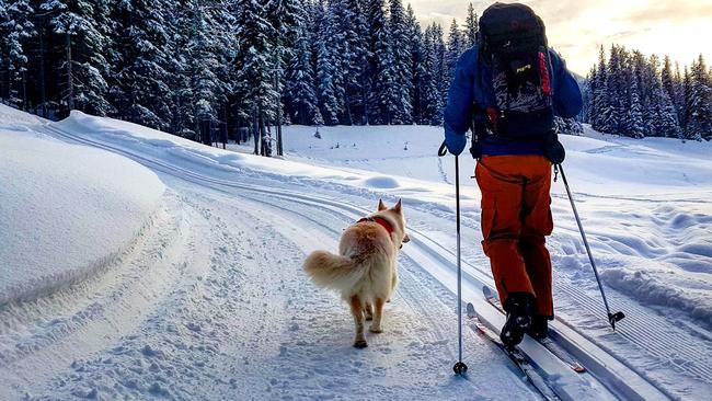 Mark and Mya saw some fantastic scenery in British Columbia.