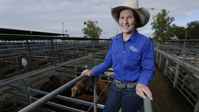 Rain brings hope for farmers as prices rise in busy cattleyards | The ...