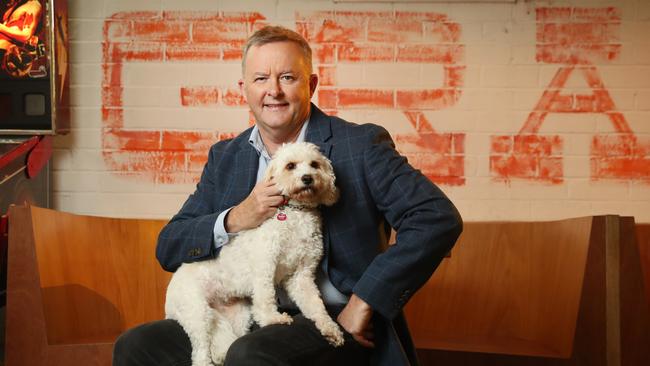 Albanese with his dog Toto. Picture: Richard Dobson