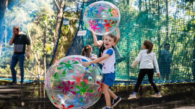 Have an absolute ball in Australia’s one of a kind, Treetop NetWorld.