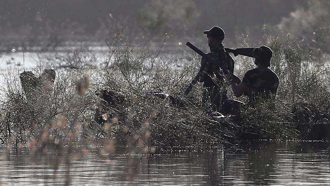 The 2021 duck season will start on May 26 and last 20 days. Picture: Yuri Kouzmin