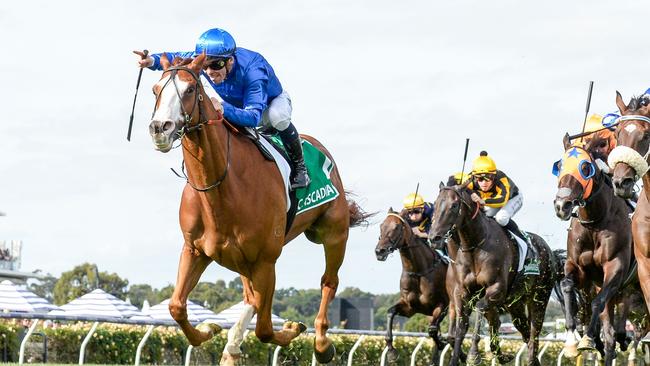 Cascadian will have his third crack at the All-Star Mile at Caulfield on Saturday. Picture: Racing Photos via Getty Images