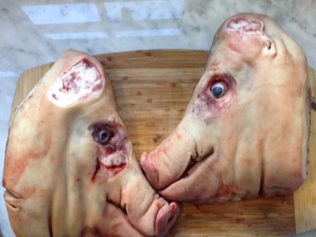 Armie Hammer’s Instagram is full of photos of raw meat, grilled ribs and pigs’ heads. Picture: Instagram