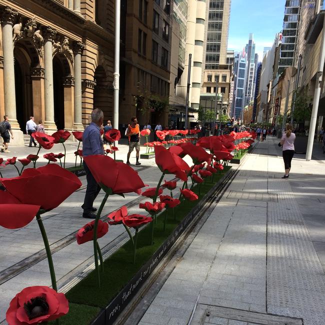 Remembrance Day poppies on George St. Picture: Roshan Machado