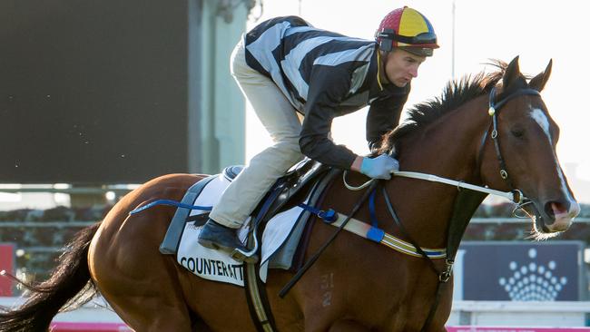 Chris Waller has tipped Counterattack to shine this winter. Picture: Jay Town.