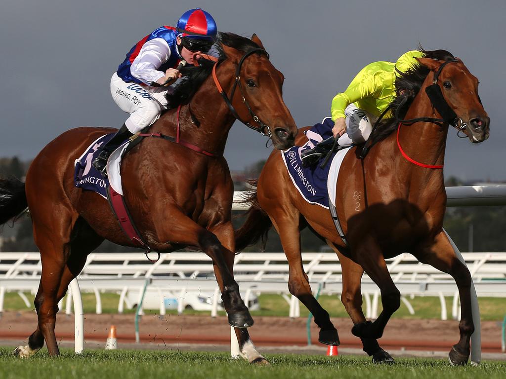 Horse racing tips Best bets Flemington races with Michael Manley