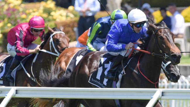 Glyn Schofield rode Athiri to victory in the Elderton Homes Made, You Look Sprint during the Rosehill Gardens Race Day at Rosehill Racecourse in December, 2018