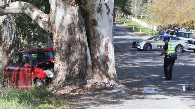 Scene of a crash which killed an 88-year-old man in Biggs Flat. Picture: Emma Brasier.