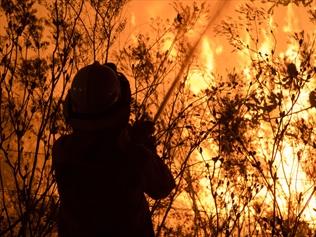 The PM has described attempts to link the NSW bushfires with climate change as "complete hogwash"