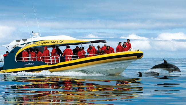 Robert Pennicott’s Seafood Seduction tour at Bruny Island is a day-long experience.