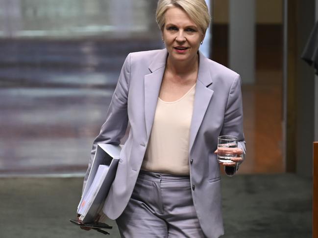 Minister for the Environment and Water of Australia, Tanya Plibersek. Picture: NewsWire / Martin Ollman