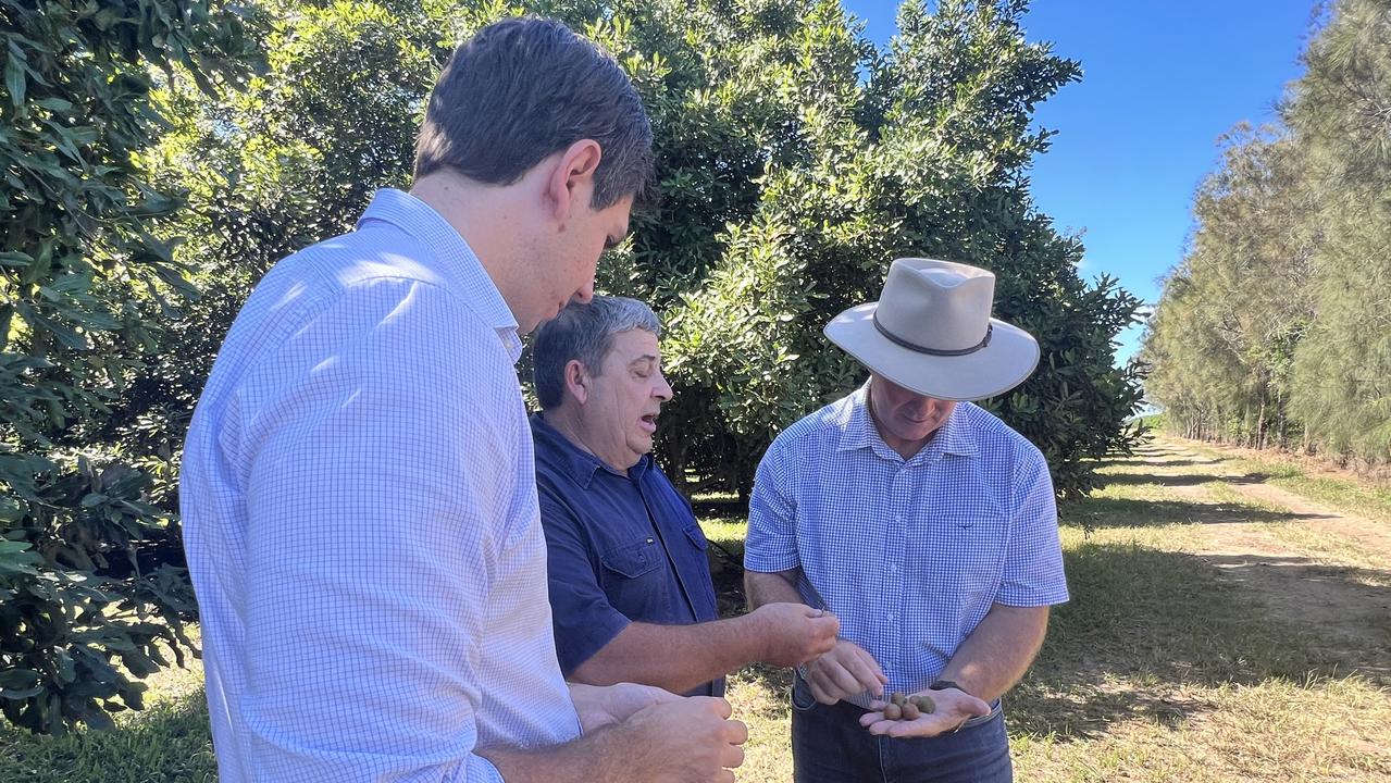 Macadamia grower Geoff Chivers shows Resources Minister Scott Stewart and Bundaberg MP Tom Smith how to open a macadamia.