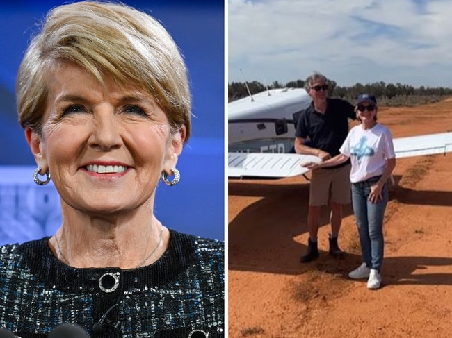 Julie Bishop's new boyfriend. Picture: NewsWire/Instagram