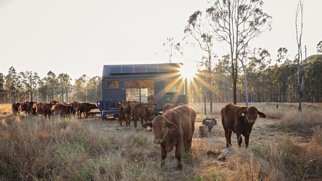 Unyoked has a network of off grid cabins hidden in the wild but easily accessible from your door.