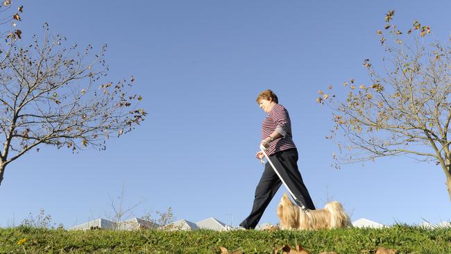 Some dog parks in Pakenham and surrounds do not have water taps or shade.