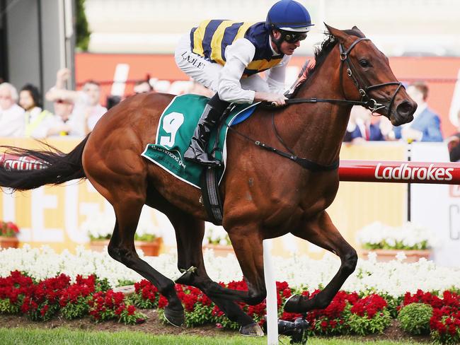 Aloisia is at short odds in The Oaks. (Photo by Michael Dodge/Getty Images)