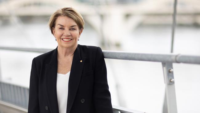 Anna Bligh says every part of the scam chain needs to be more proactive. Picture: Josh O’Reilly