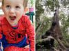 Cop’s big call on William breakthrough