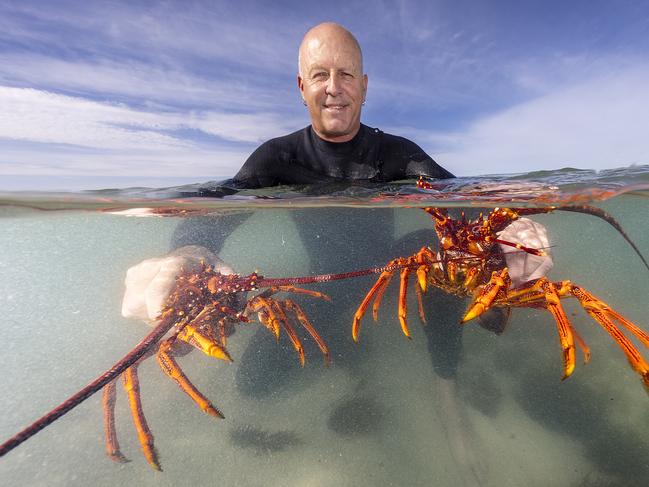 Jeremy Ievins [SPELLING ievins], Commercial Rock lobster Fisherman with lobsters in Port MacDonnell in South Australia.   Picture: Alex Coppel