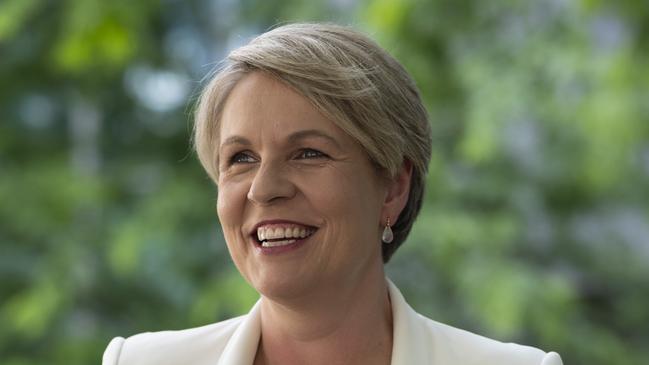 Environment Minister Tanya Plibersek. Picture: Picture: NCA NewsWire / Martin Ollman​