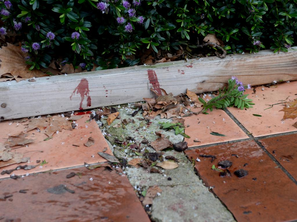 Bloodstains are visible outside a public housing block where a man was stabbed to death. Picture: Andrew Henshaw
