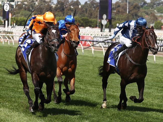 MELBOURNE , AUSTRALIA. November 11, 2023.  Champions Day races at Flemington Racecourse, Melbourne ..   Race 6 . The Darley Champions Sprint.   Imperatriz ridden by Opie Bosson holds of Buenos Noches and In Secret to win the Champions Sprint    . Pic: Michael Klein