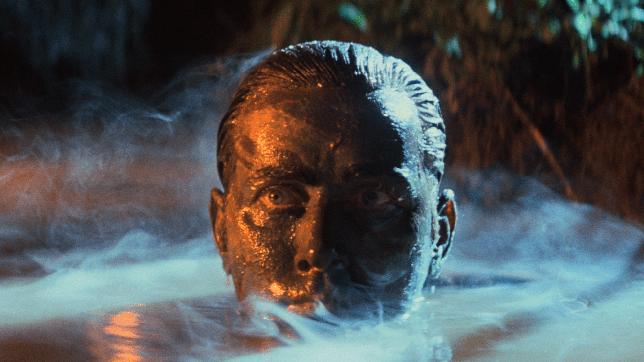 Martin Sheen is utterly credible as the veteran assassin in Apocalypse Now.