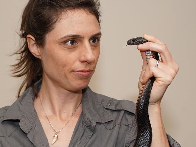 Dr Christina Zdenek handling a snake. Picture: Nick Hamilton.