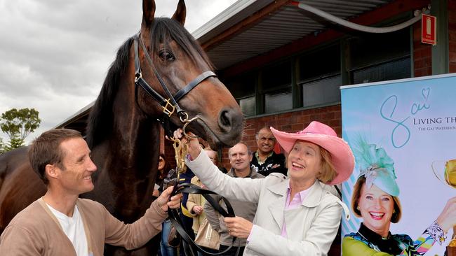 Gai Waterhouse and Damian Oliver with Melbourne Cup Favorite Fiorente at Gai's Flemington Stables. Picture: Jay Town