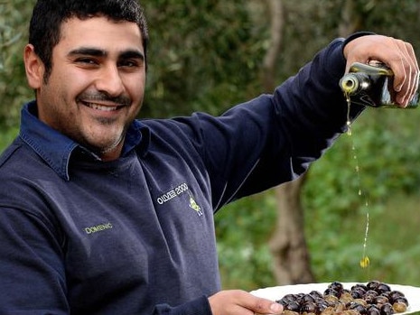 Domenico Catanzariti works for an Adelaide olive-growing business. Picture: Adelaide Advertiser