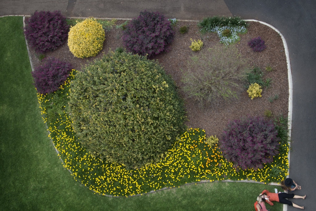 Queens Park Botanic Gardens in bloom for Carnival of Flowers 2016. Picture: Bev Lacey