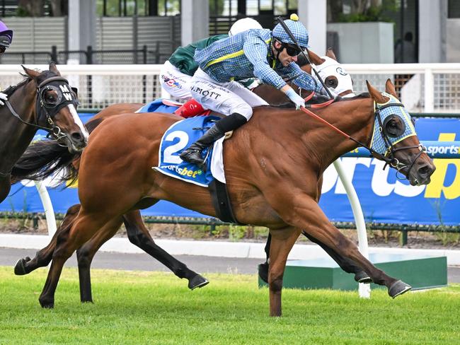 Centennial Park (NZ) ridden by Jamie Mott wins the Allan Wicks Handicap at Caulfield Heath Racecourse on December 26, 2024 in Caulfield, Australia. (Photo by Reg Ryan/Racing Photos via Getty Images)