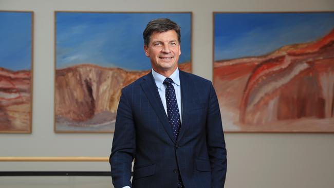 Minister for Energy and Emissions Reduction Angus Taylor Picture: John Feder.